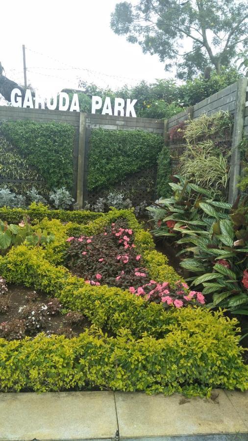 Garuda Park Resort Kotagiri Oda fotoğraf